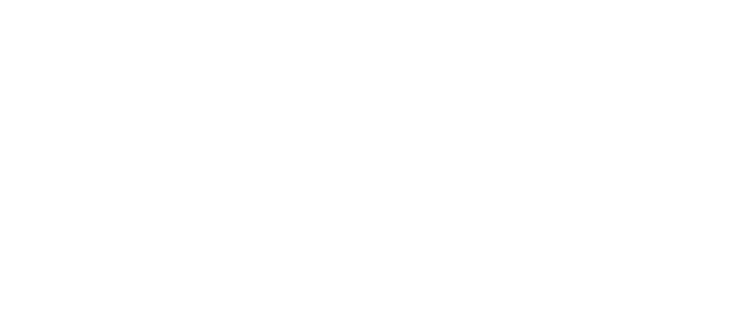 Mental Metrics Lab